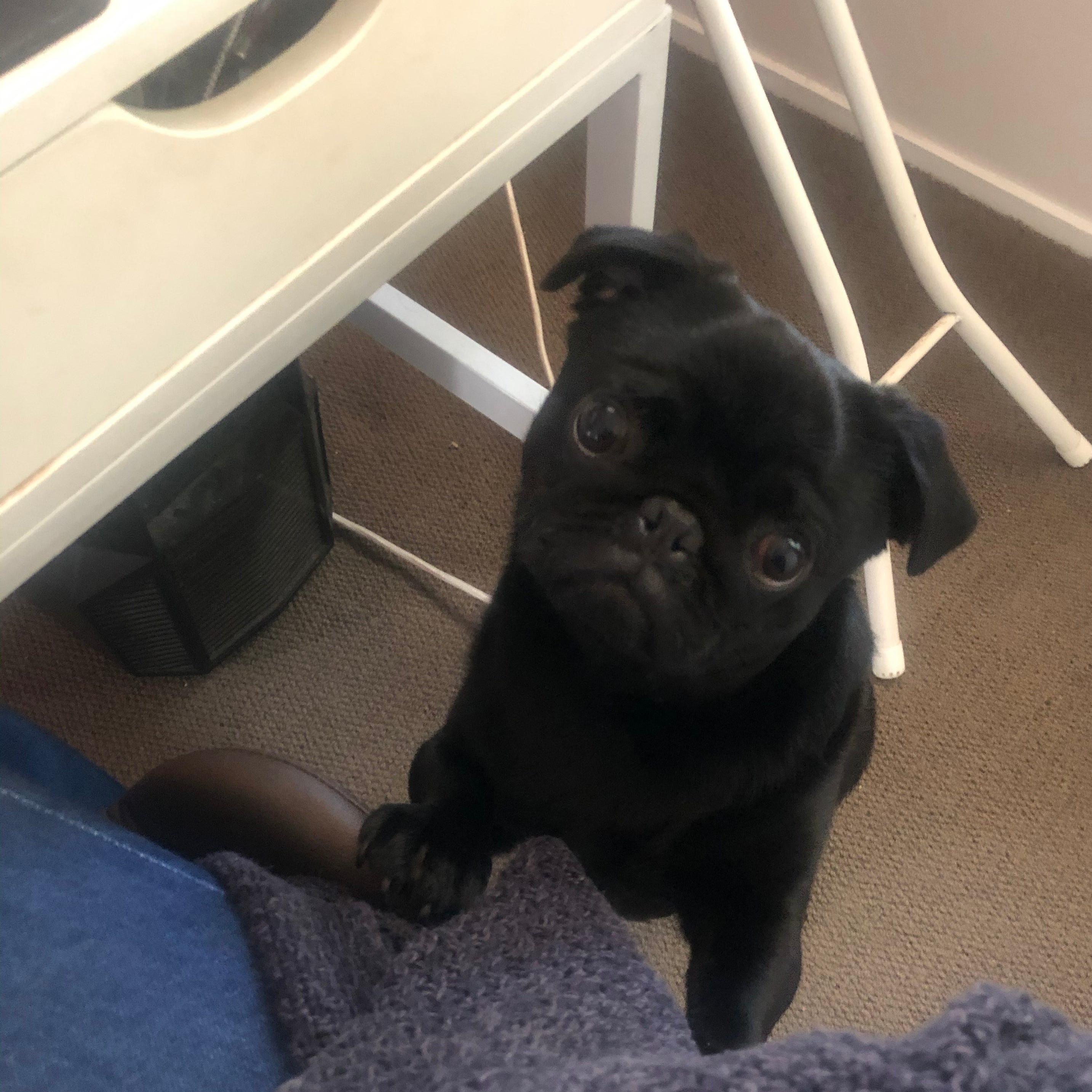 Day 8 - The only way out is through